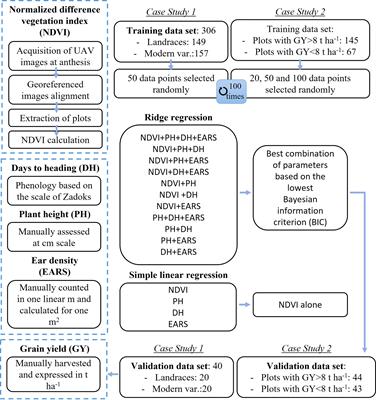 Improving in-season wheat yield prediction using remote sensing and additional agronomic traits as predictors